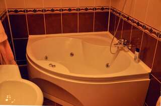 Гостевой дом Knaus Apartments Черновцы Люкс-10